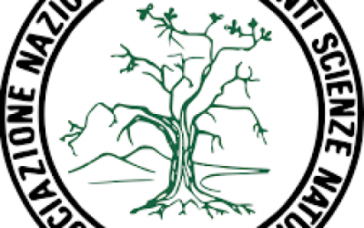 Rinnovo delle Cariche Sociali ANISN (Triennio 2026-2029)
