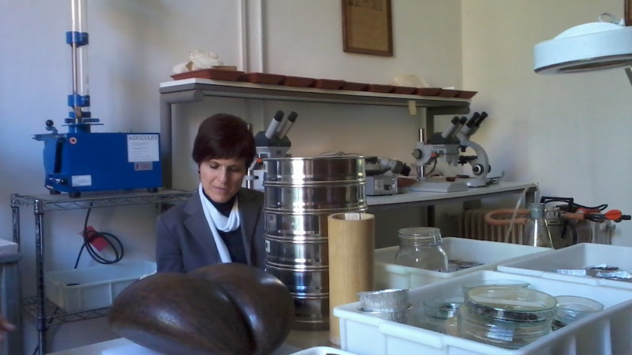 Associazione Nazionale Insegnanti Scienze Naturali SEZIONE LAZIO 5